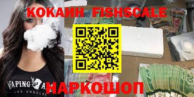 крисы Можга