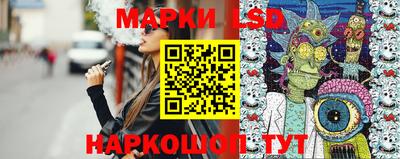 крисы Можга