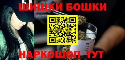 крисы Можга