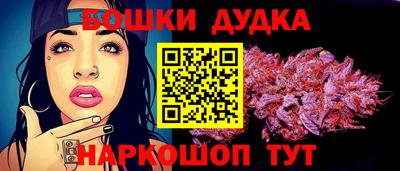 крисы Можга